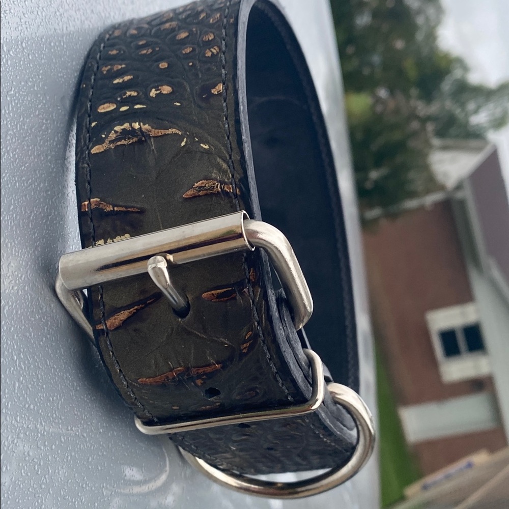 Leather 2" Wide Leather Dog Collar changeable color